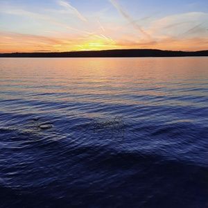 Meet your Posher, Brigitte